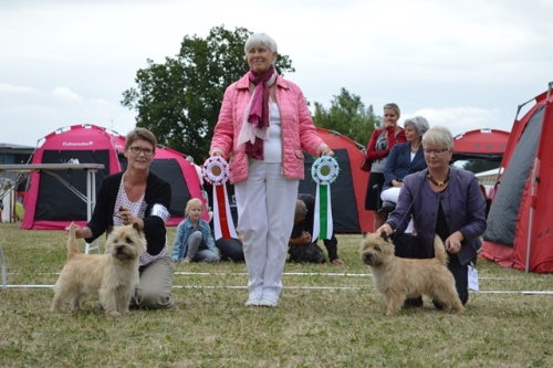 birbim svendborg 13.07