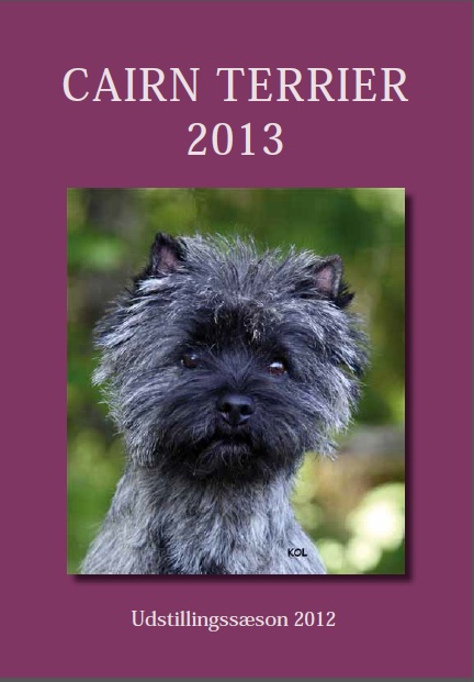 Jubilæumsårbog 1988-2012