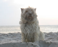 IMG1713.jpg