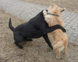 Maggie-i-en-Tango.jpg