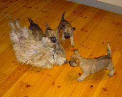 PICT0944.jpg